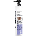 Delia Cosmetics Cameleo Silver aufhellendes Shampoo für blondes Haar, neutralisierende Gelbtöne 250 ml + Conditioner 200 ml, Duopack