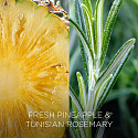 Air Wick Botanica Frische Ananas und tunesischer Rosmarin Duftkerze Glas, Brenndauer bis zu 40 Stunden 205 g