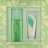 Elizabeth Arden Grüner Tee Eau de Toilette für Frauen 100 ml + Honey Drops Körpercreme 100 ml, Geschenkset