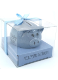 Albi Schweinchen für Freude Schatzkiste zum besten Papa 6 x 7,5 cm