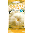 Seva - Flora Patizon weißer Vanillepudding 1,5 g