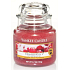 Yankee Candle Cranberry Ice - Cranberries auf Eisduftkerze Klassisches kleines Glas 104 g