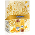 Schauma Nature Moments Honigelixier und Kaktusfeigenöl zur Regeneration und Kräftigung der Haare Shampoo 250 ml + Spülung 200 ml, Kosmetikset