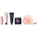 Grace Cole Velvet Rose & Peony Duschgel 50 ml + Handcreme 50 ml + Körpercreme 50 ml + Schaumbad 80 g + Waschschwamm, Kosmetikset für Frauen