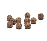 Rudraksha natürliche Perle 7 mm, 10 Stück