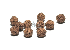 Rudraksha natürliche Perle 7 mm, 10 Stück