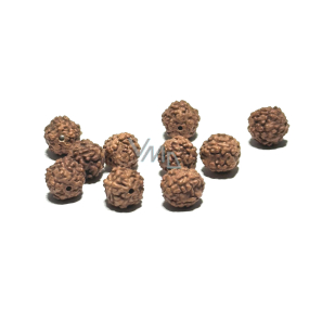 Rudraksha natürliche Perle 7 mm, 10 Stück Rudraksha natürliche Perle 7 mm, 10 Stück