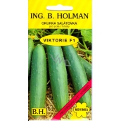 Holman F1 Victoria Salatgurken 1,5 g