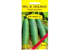 Holman F1 Victoria Salatgurken 1,5 g