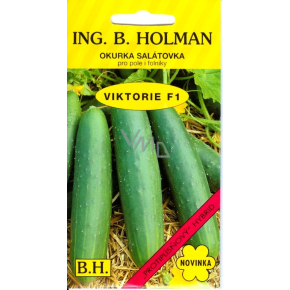 Holman F1 Viktorie Salatgurken 1 g