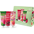 Dermacol Aroma Ritual Black Cherry Duschgel 250 ml + Pink Grapefruit Duschgel 250 ml + Grüner Tee und Kaktusfeige Duschgel 250 ml, Kosmetikset