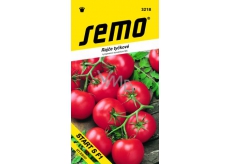Semo Tomato Stick Beginnen Sie mit F1 Hybrid 60 Samen