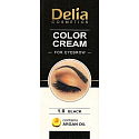 Delia Cosmetics Color Cream Augenbrauenfärbecreme mit Arganöl 1.0 Schwarz 15 ml + 15 ml