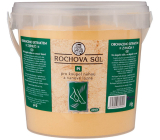 Drutep Rochova Salz PI 1 kg Eimer