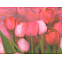 Nekupto Geschenk Kraftbeutel 23 x 18 x 10 cm Tulpen 1 Stück