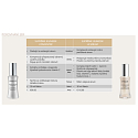 Payot Supreme Jeunesse Konzentriertes Serum für endlose Regeneration 30 ml