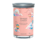 Yankee Candle Watercolour Skies - Watercolour Skies Duftkerze Signature Tumbler großes Glas 2 Dochte 567 g