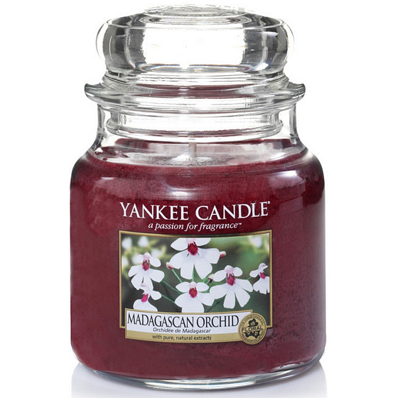 Yankee Candle Madagascan Orchid - Orchidee aus Madagaskar Duftkerze Klassisches mittleres Glas 411 g