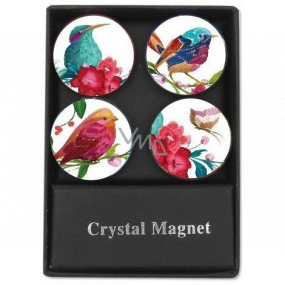 Albi Kristall Magnete Vögel 4 Stück