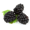 Vidal Berries & Musk flüssige Handseife 300 ml