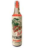 Kitl Bio Erdbeer Syrob mit Fruchtfleisch für selbstgemachte Limonade 500 ml