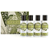 Somerset Toiletry Maiglöckchen-Körperlotion 50 ml + Duschgel 50 ml + Haarshampoo 50 ml + Haarspülung 50 ml, kosmetisches Reiseset