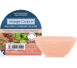 Yankee Candle Tranquil Garden - Silent Garden duftendes Wachs für Aromatherapie 22 g
