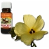 Slow-Natur Moschus Ätherisches Öl 10 ml