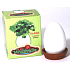 Albi Mini Garden Happiness Geschenkbox-Set zum Wachsen