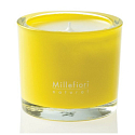 Millefiori Milano Natural Pompelmo - Grep Duftkerze brennt bis zu 60 Stunden 180 g