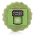 Yankee Candle Halloween Verbotener Apfel 22g