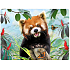 Prime3D Postkarte - Panda Red 16 x 12 cm