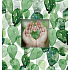 Albi Fotoalbum Cactus 25 Blätter 24 x 25 cm