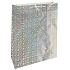 Nekupto Geschenkpapier Tasche Hologramm 33 x 46 cm Silber