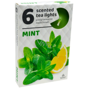 Tea Lights Mint Duft-Teelichter 6 Stück