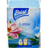 Brise Lotus Charm Electric Refill Lufterfrischer 20 ml