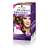 Perfect Mousse Permanent Color Haarfarbe 665 Hellgoldbraun