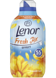 Lenor Fresh Air Summer Day Weichspüler 55 Dosen 770 ml