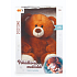 EP Line Teddybär mit LED-Projektor 30 cm, empfohlen ab 3 Jahren