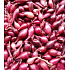 Karmen, Pflanzgefäß für rote Zwiebeln 20 kg