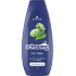 Schauma Men Shampoo für Männer mit Hopfenextrakt, 400 ml