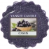 Yankee Candle Cassis - Wachs mit Duft nach schwarzen Johannisbeeren für Aromalampe 22 g