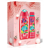 Fa Fiji Dream Duschgel 250 ml + Deodorant Spray 150 ml, Kosmetikset
