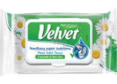 Velvet Kamille & Aloe Vera feuchtes Toilettenpapier, 42 Stück