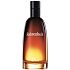 Christian Dior Fahrenheit Eau de Toilette für Männer 30 ml