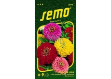 Semo Sticky Ginger Geant de California 0,7 g