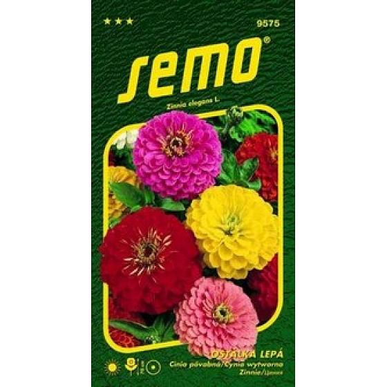 Semo Sticky Ginger Geant de California 0,7 g