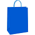 Ditipo Geschenk Papiertüte 18 x 8 x 24 cm ECO blau