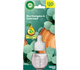 Air Wick Essential Oils Blue Eucalyptus & Cedarwood - Eukalyptus und Zedernholz elektrischer Lufterfrischer Nachfüllpackung 19 ml