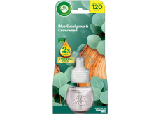 Air Wick Essential Oils Blue Eucalyptus & Cedarwood - Eukalyptus und Zedernholz elektrischer Lufterfrischer Nachfüllpackung 19 ml
